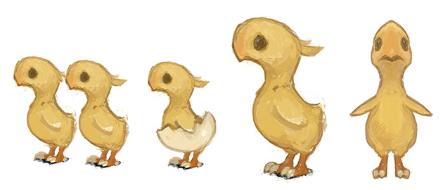 121204_babychocobo.jpg